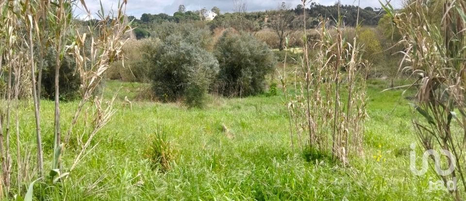Terrain à Outeiro da Cortiçada e Arruda dos Pisões de 1 540 m²