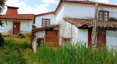 Ferme T3 à Faia de 573 m²