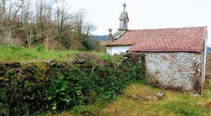 Ferme T3 à Faia de 573 m²