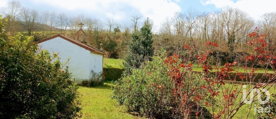 Ferme T3 à Faia de 573 m²