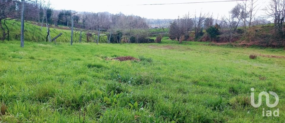 Ferme T3 à Faia de 573 m²