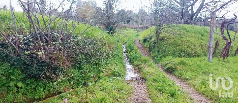 Ferme T3 à Faia de 573 m²