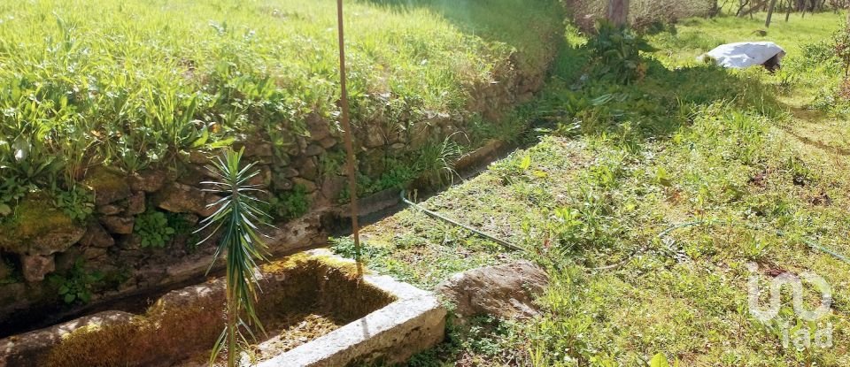 Ferme T3 à Faia de 573 m²