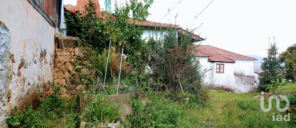 Ferme T3 à Faia de 573 m²