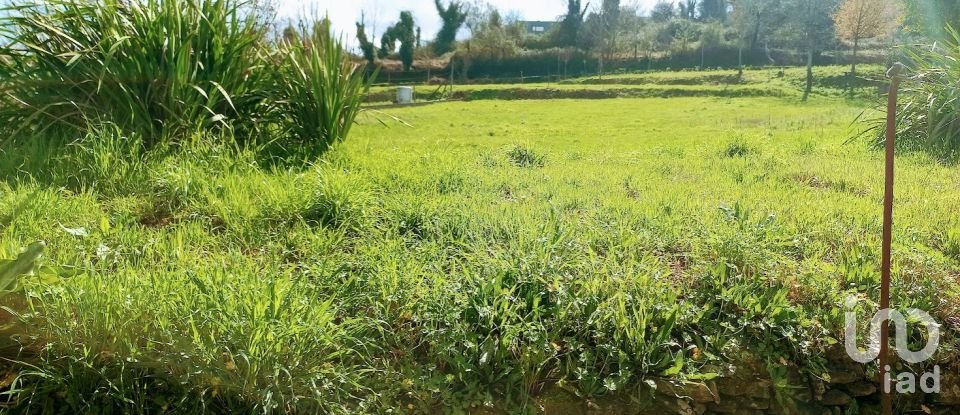 Ferme T3 à Faia de 573 m²