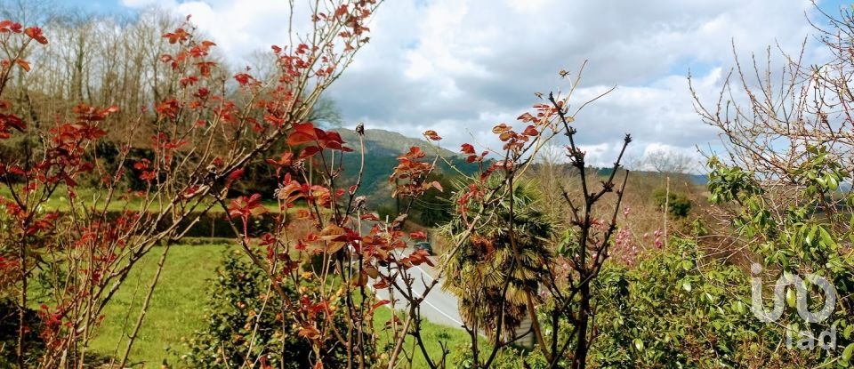 Ferme T3 à Faia de 573 m²