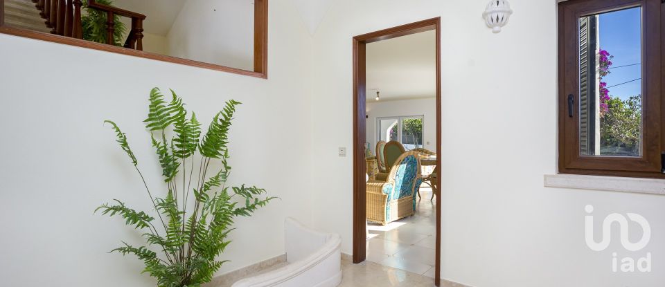 House T7 in Porches of 421 m²