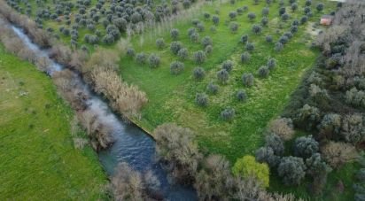 Terrain à Freixianda, Ribeira do Fárrio e Formigais de 6 021 m²