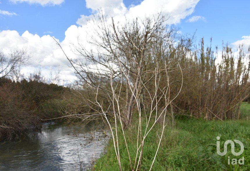 Terrain à Freixianda, Ribeira do Fárrio e Formigais de 6 021 m²