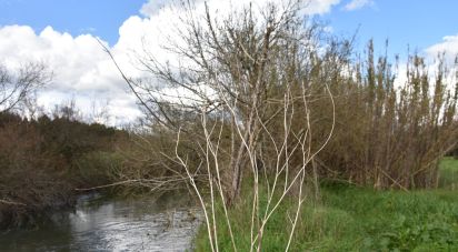 Terrain à Freixianda, Ribeira do Fárrio e Formigais de 6 021 m²