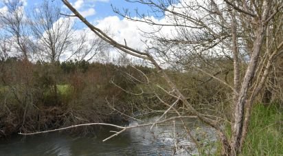 Terrain à Freixianda, Ribeira do Fárrio e Formigais de 6 021 m²