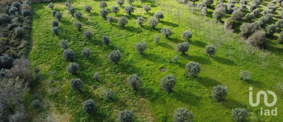 Terrain à Freixianda, Ribeira do Fárrio e Formigais de 6 021 m²