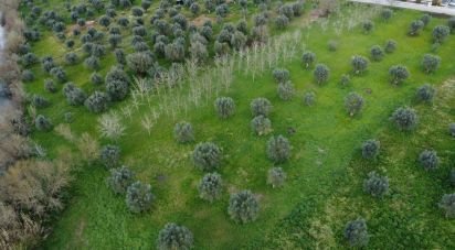 Terrain à Freixianda, Ribeira do Fárrio e Formigais de 6 021 m²