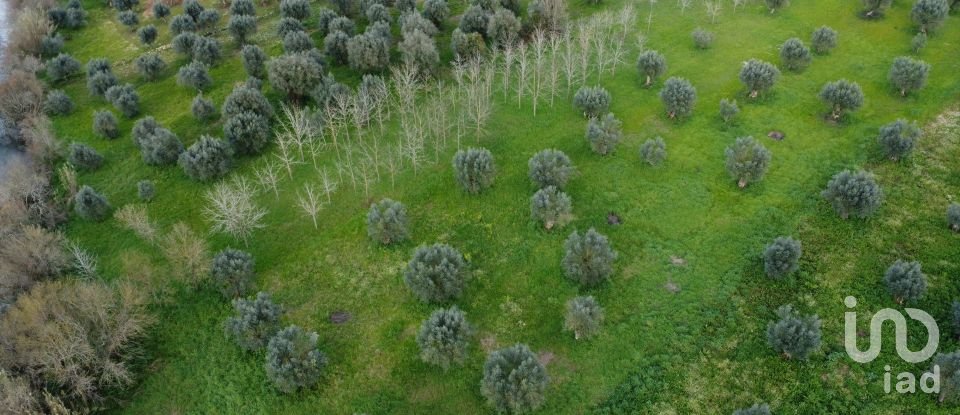 Terrain à Freixianda, Ribeira do Fárrio e Formigais de 6 021 m²