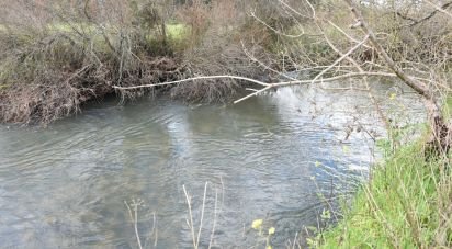 Terrain à Freixianda, Ribeira do Fárrio e Formigais de 6 021 m²