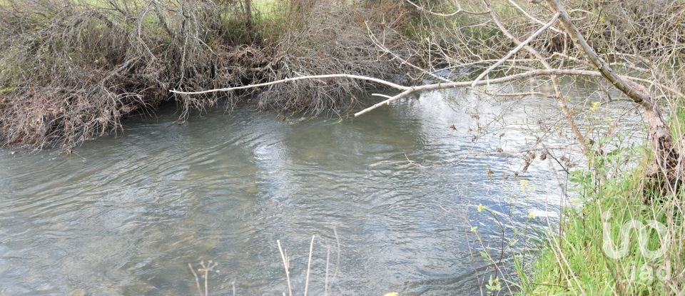 Terrain à Freixianda, Ribeira do Fárrio e Formigais de 6 021 m²