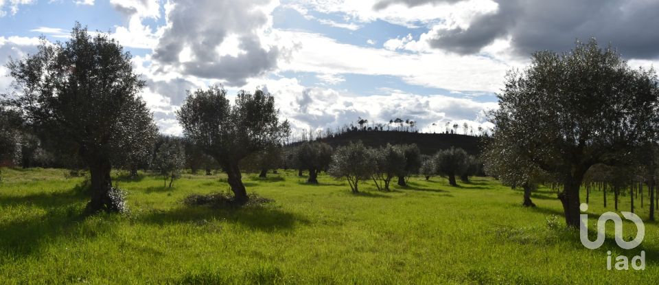 Terrain à Freixianda, Ribeira do Fárrio e Formigais de 6 021 m²