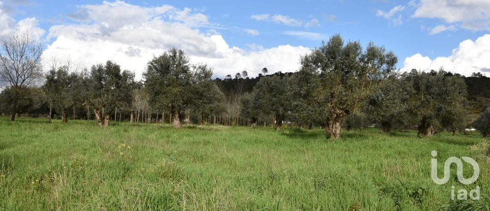 Terrain à Freixianda, Ribeira do Fárrio e Formigais de 6 021 m²