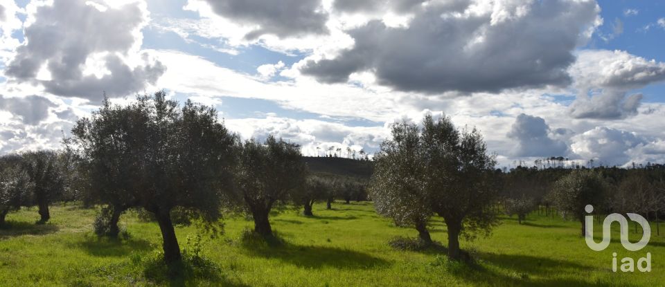 Terrain à Freixianda, Ribeira do Fárrio e Formigais de 6 021 m²