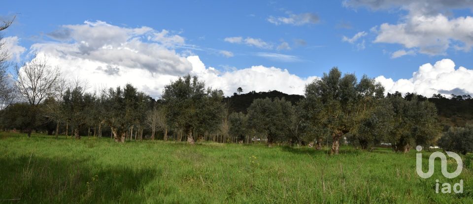 Terrain à Freixianda, Ribeira do Fárrio e Formigais de 6 021 m²