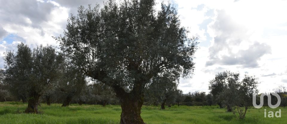 Terrain à Freixianda, Ribeira do Fárrio e Formigais de 6 021 m²