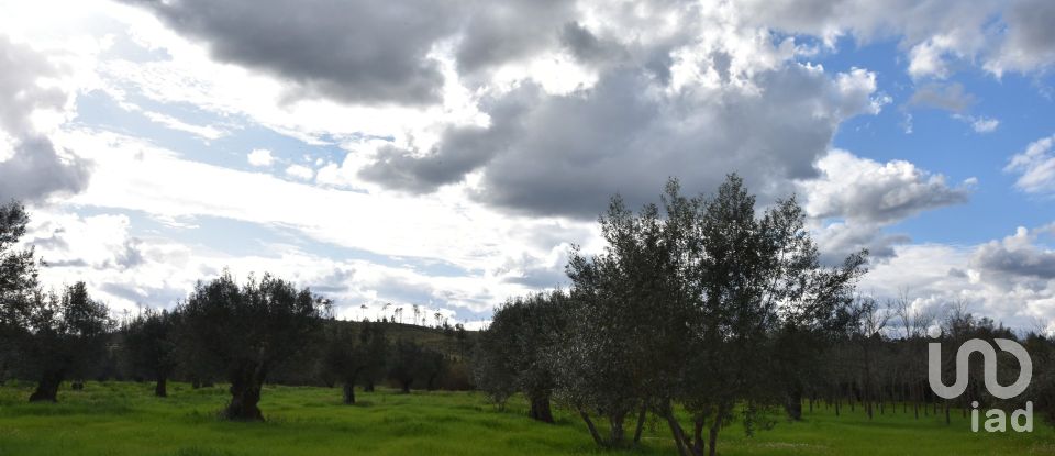 Terrain à Freixianda, Ribeira do Fárrio e Formigais de 6 021 m²