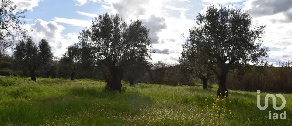 Terrain à Freixianda, Ribeira do Fárrio e Formigais de 6 021 m²