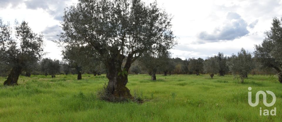 Terrain à Freixianda, Ribeira do Fárrio e Formigais de 6 021 m²