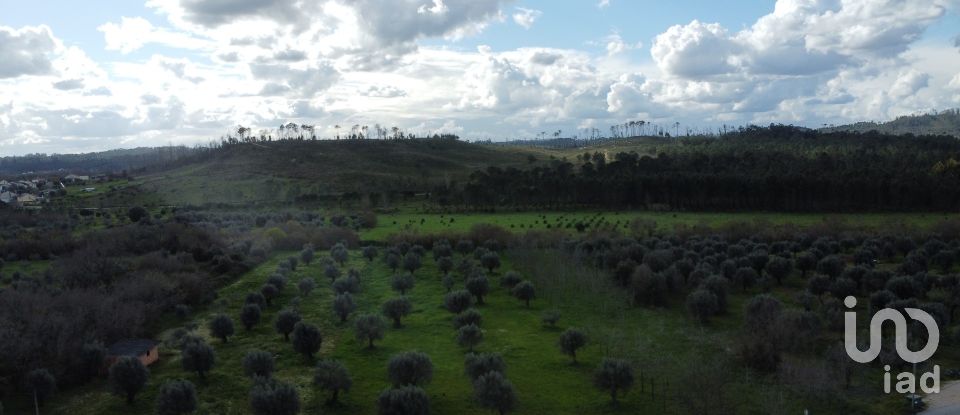 Terrain à Freixianda, Ribeira do Fárrio e Formigais de 6 021 m²