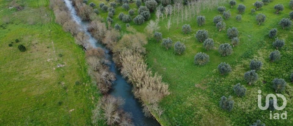 Terrain à Freixianda, Ribeira do Fárrio e Formigais de 6 021 m²