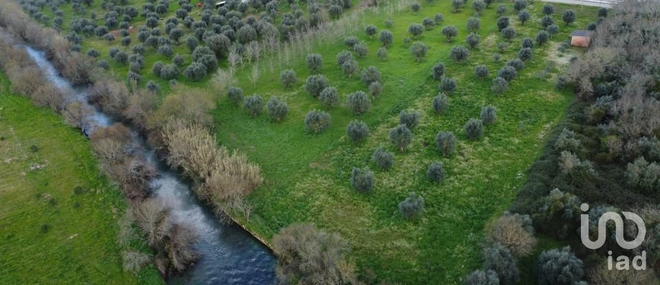 Terrain à Freixianda, Ribeira do Fárrio e Formigais de 6 021 m²