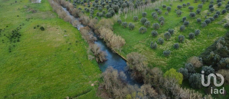 Terrain à Freixianda, Ribeira do Fárrio e Formigais de 6 021 m²