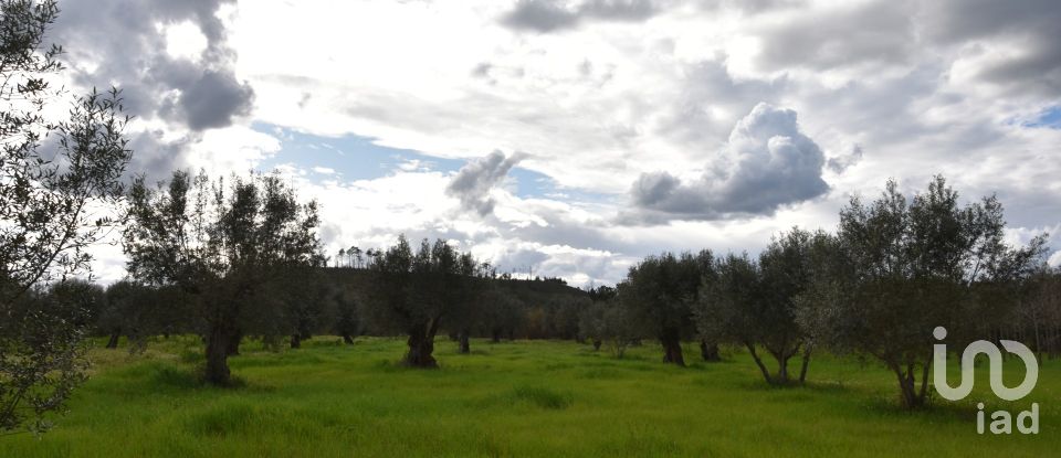 Terrain à Freixianda, Ribeira do Fárrio e Formigais de 6 021 m²