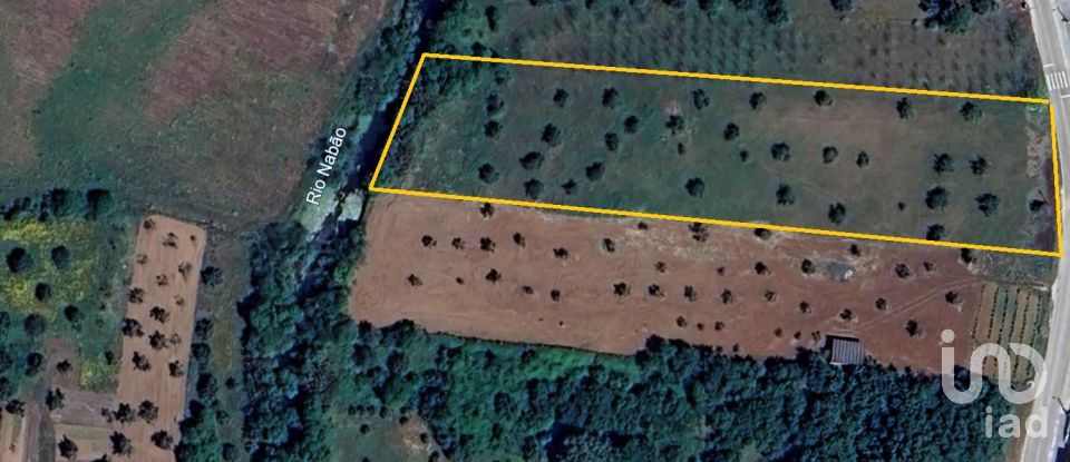 Terrain à Freixianda, Ribeira do Fárrio e Formigais de 6 021 m²