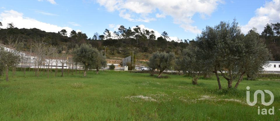 Terrain à Freixianda, Ribeira do Fárrio e Formigais de 6 021 m²