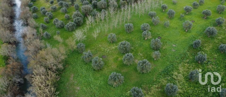 Terrain à Freixianda, Ribeira do Fárrio e Formigais de 6 021 m²