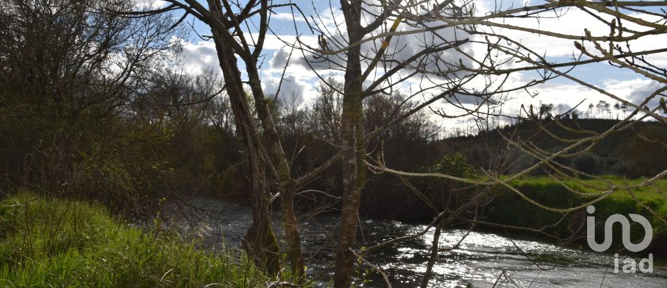 Terrain à Freixianda, Ribeira do Fárrio e Formigais de 6 021 m²