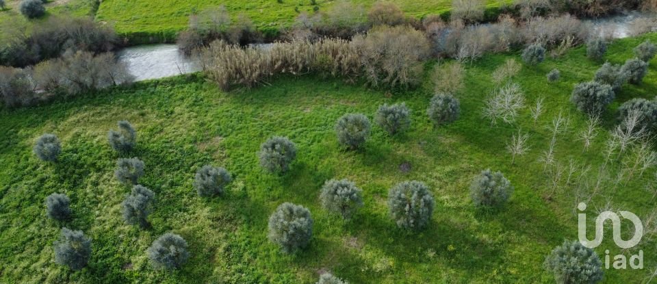 Terrain à Freixianda, Ribeira do Fárrio e Formigais de 6 021 m²