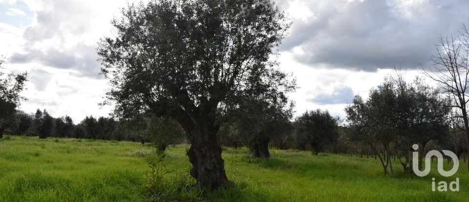 Terrain à Freixianda, Ribeira do Fárrio e Formigais de 6 021 m²