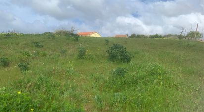 Terreno em Carvalhal de 3 080 m²