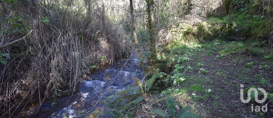 Farm land in São Miguel, Santa Eufémia e Rabaçal of 4,715 m²