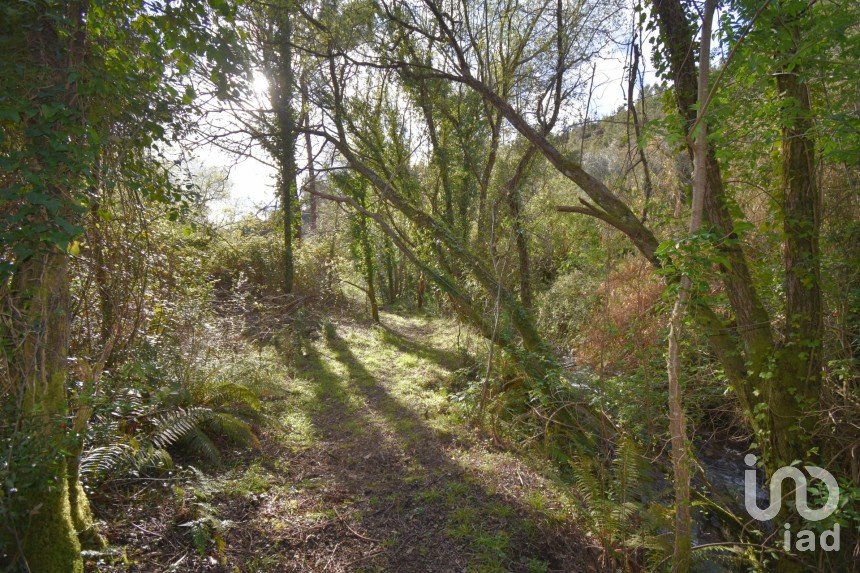 Farm land in São Miguel, Santa Eufémia e Rabaçal of 4,715 m²