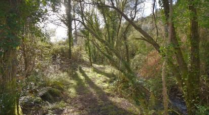 Farm land in São Miguel, Santa Eufémia e Rabaçal of 4,715 m²