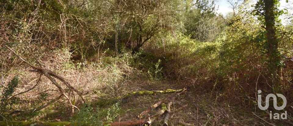 Farm land in São Miguel, Santa Eufémia e Rabaçal of 4,715 m²