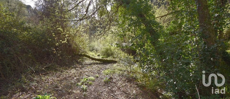 Farm land in São Miguel, Santa Eufémia e Rabaçal of 4,715 m²