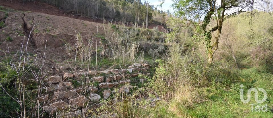 Farm land in São Miguel, Santa Eufémia e Rabaçal of 4,715 m²