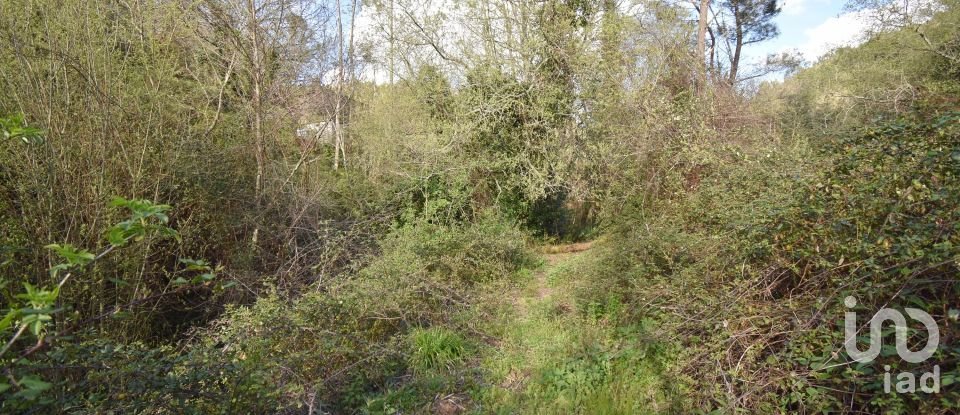 Farm land in São Miguel, Santa Eufémia e Rabaçal of 4,715 m²