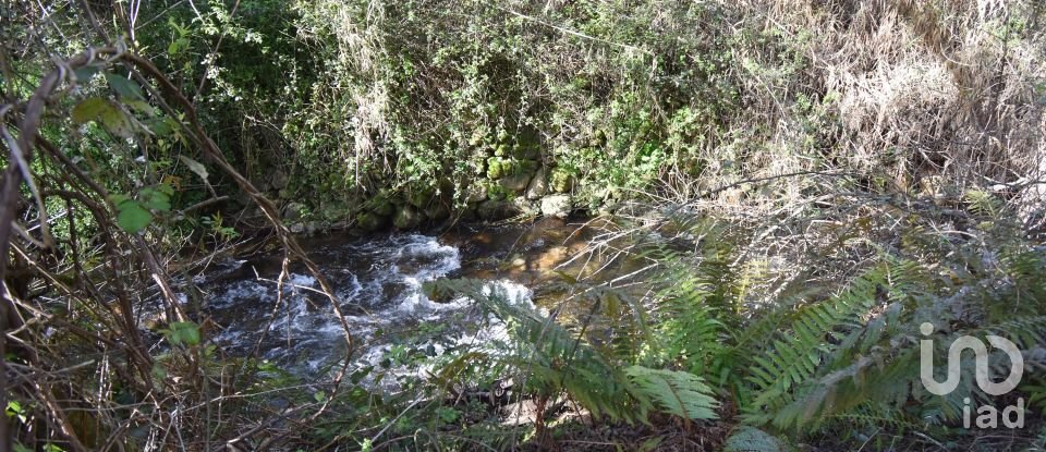 Farm land in São Miguel, Santa Eufémia e Rabaçal of 4,715 m²