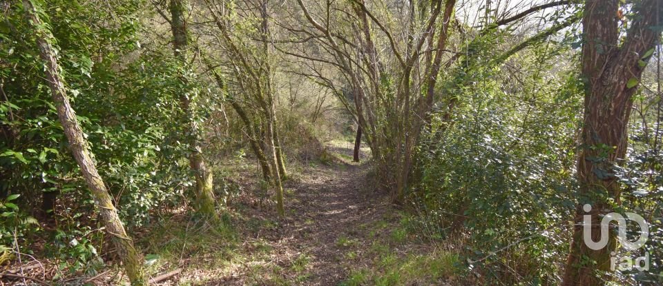 Farm land in São Miguel, Santa Eufémia e Rabaçal of 4,715 m²