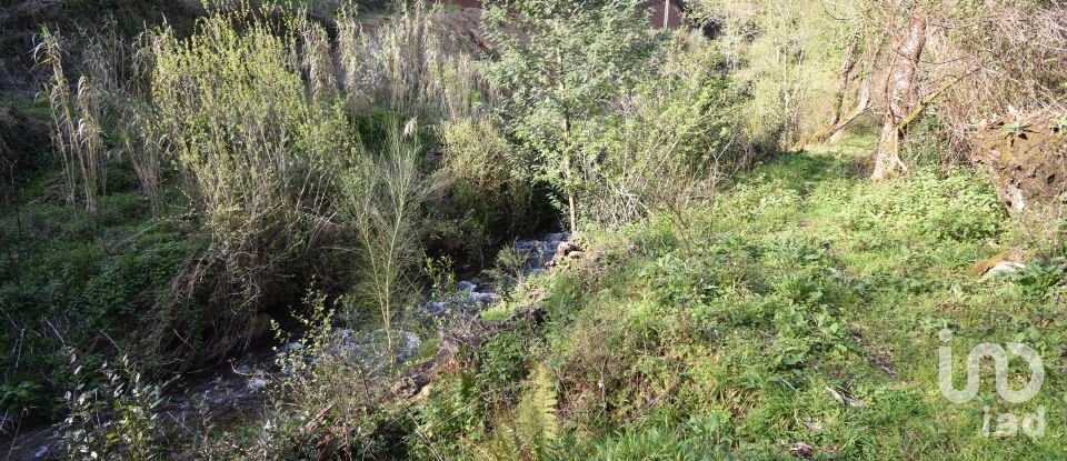 Farm land in São Miguel, Santa Eufémia e Rabaçal of 4,715 m²